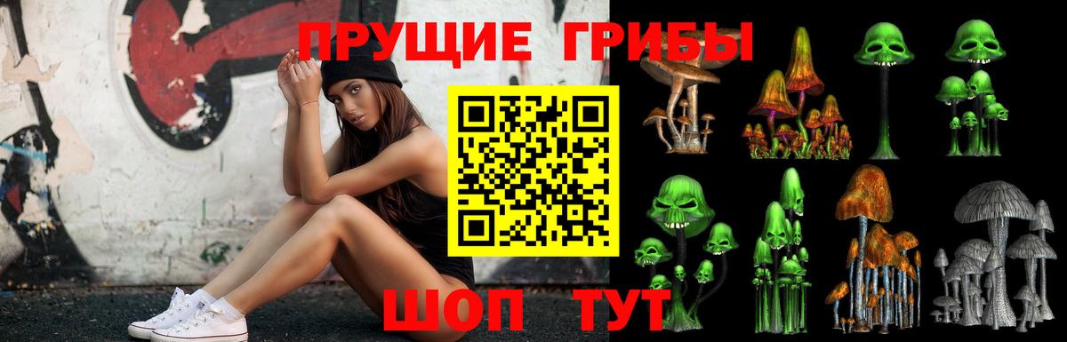 Сегежа  Галлюциногенные грибы MAGIC MUSHROOMS  Вход с VPN 